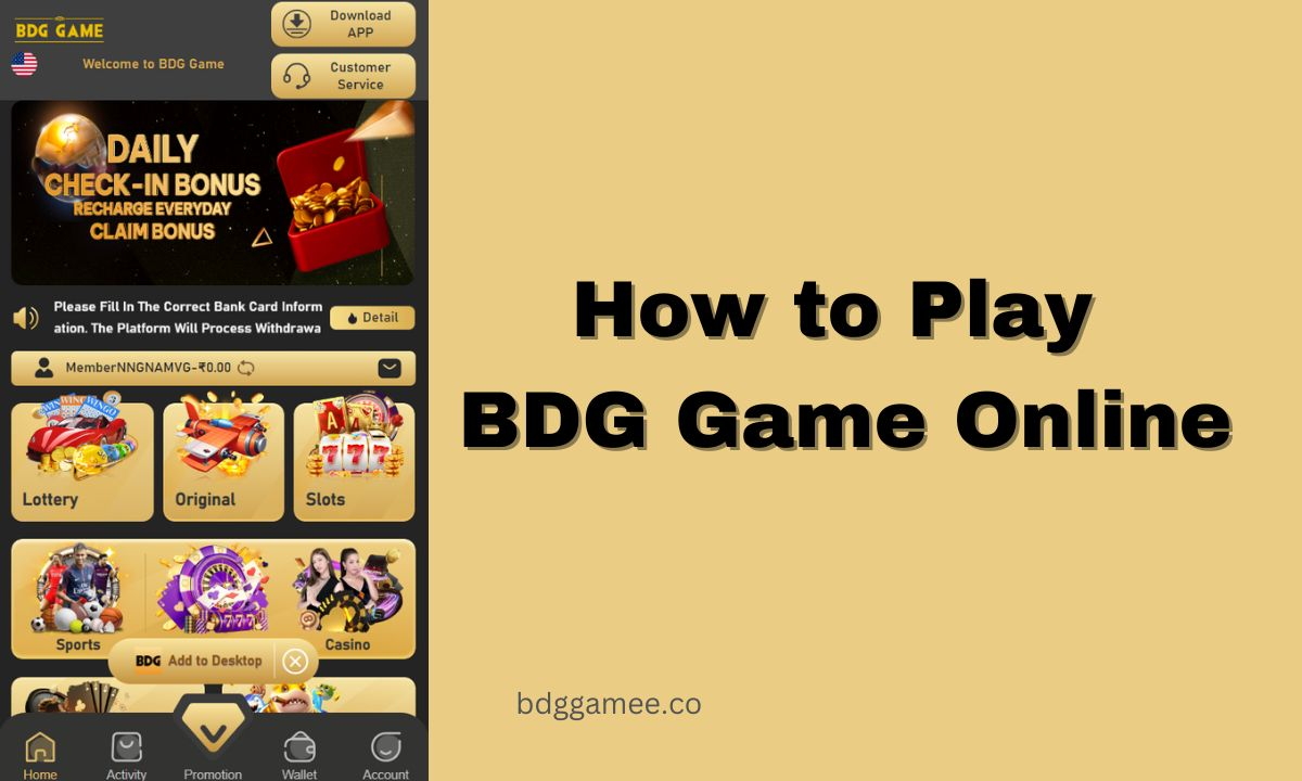 BDG Game Online